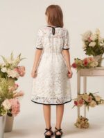 ⁦فستان إيليجانت بتطريز دانتيل⁩ - الصورة ⁦8⁩