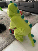 ⁦اوفر بصميم ديناصور⁩ - الصورة ⁦4⁩