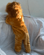 ⁦اوفر بصميم اسد⁩ - الصورة ⁦6⁩