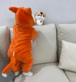 ⁦اوفر بصميم ثعلب⁩ - الصورة ⁦7⁩